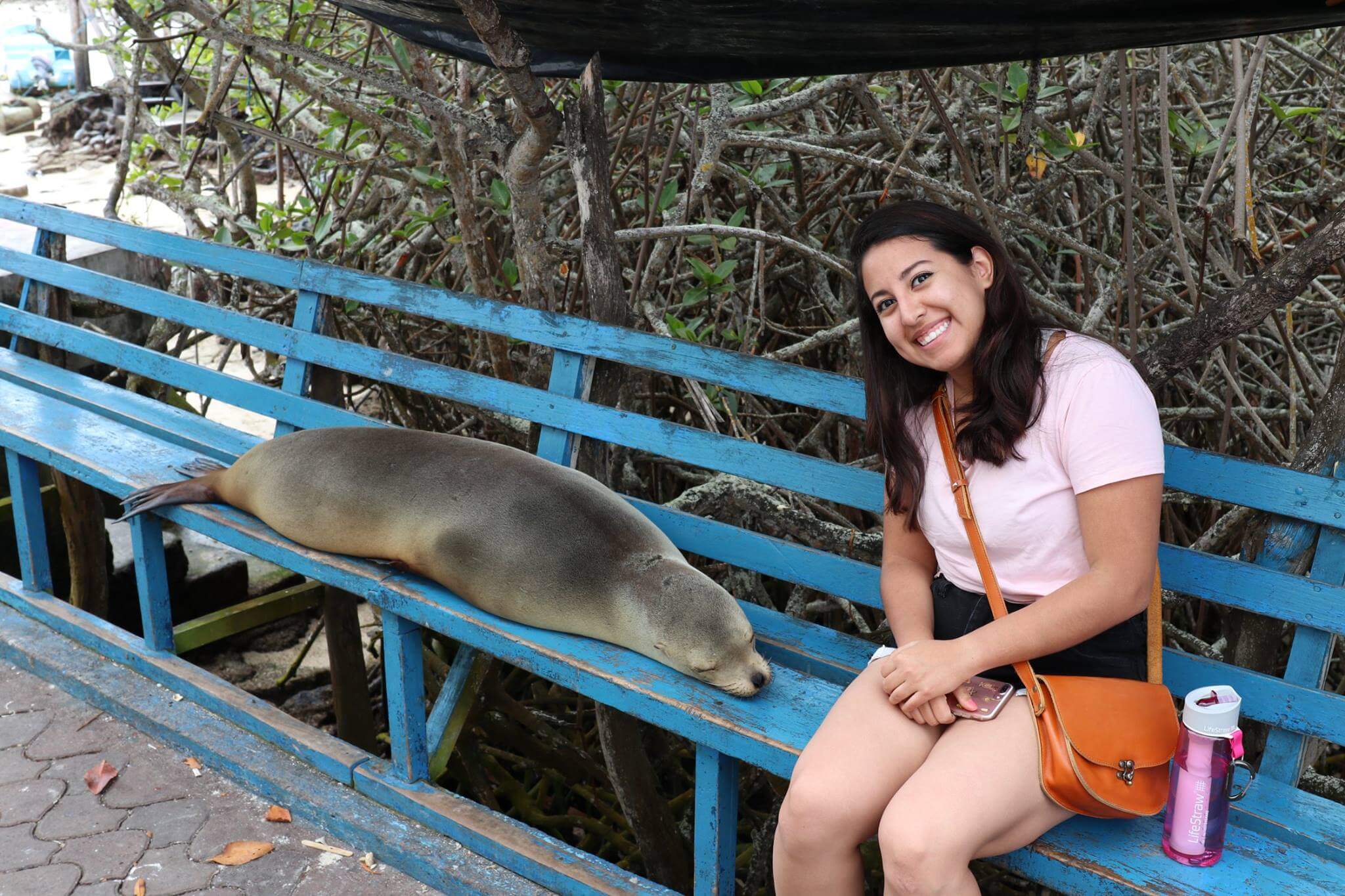 Woman sitting with a seal